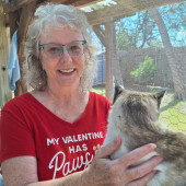 Caring Senior Lady To Love Your Cats