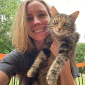 Patient And Calm Cat Sitter