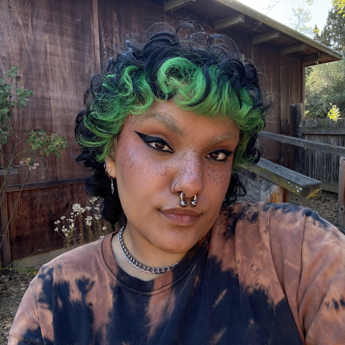 Your Kitty's Next Best Friend