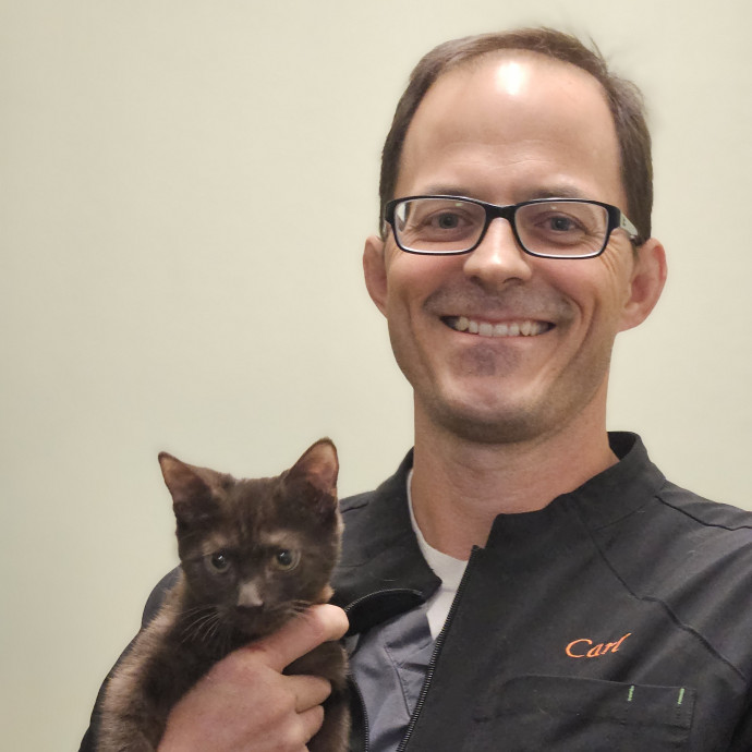 Registered Vet Tech For Feline Overlords