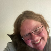 Tara's Cat Wonderland