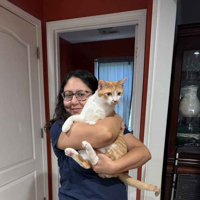 Cat Sitting With Love