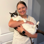 Experienced  Caring Cat Sitter