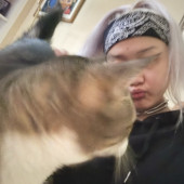 Mercy Around Them Meowmeows