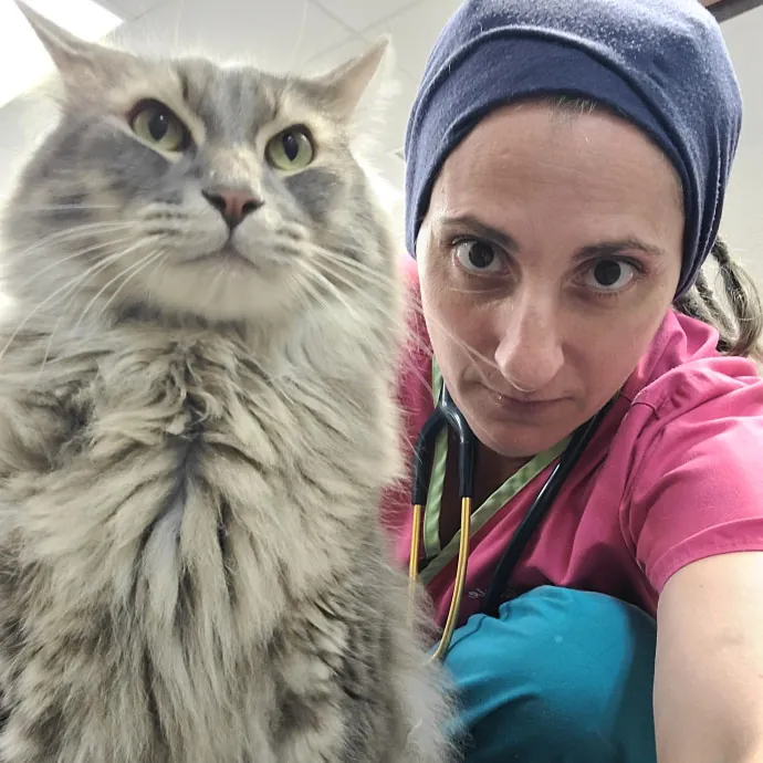 Certified Cat Whisperer  Professional O