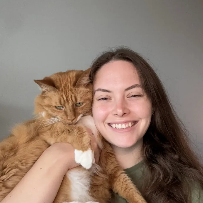 Your Neighborhood Cat Sitter