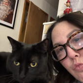 Purrfect Cat Lady Here