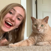 Professional Cat Care By Chloe