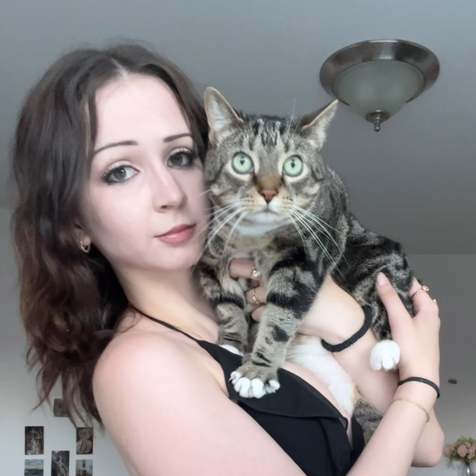 Your Cats Loving New Bestfriend Your Cats Loving New Bestfriend