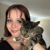 Your Cats Loving New Bestfriend