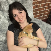 Your Cats New Bestfriend