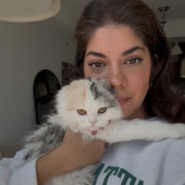 Friendly And Reliable Cat Companion