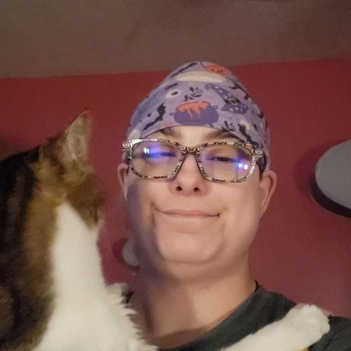 Kitties Are The Best