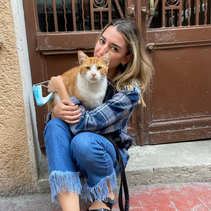 Professional Cat Cuddler