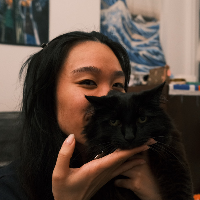 Your Feline Friend