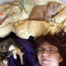 Laura's Cat Service