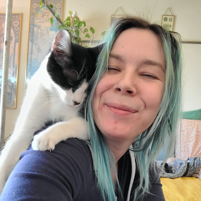 Cats Cats And Chloe Cats Cats And Chloe