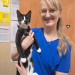 Cat Care Specialist