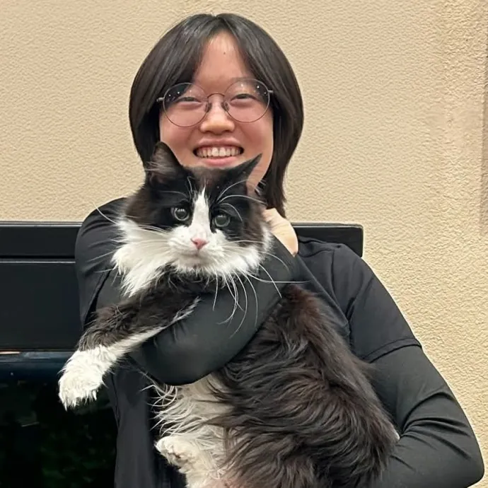 Reliable And Compassionate Cat Sitter