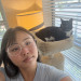 Purrimium Cat Care And Love
