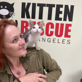 Cat Sitter Rescuer Foster