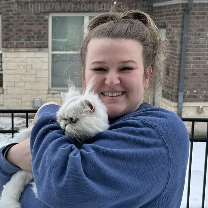 Experienced Cat Lover