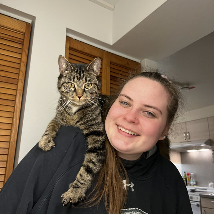 Addy's Cozy Cat Corner