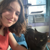 It's All In The Cat-Titude