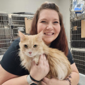 Kristin's Kitty Care