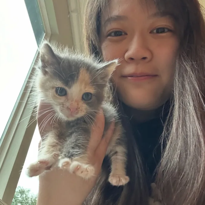 Yungchu C.