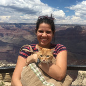 Cat Sitter East La