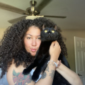 Feline Fantastic