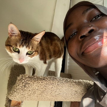 Ajijolaoluwa's profile