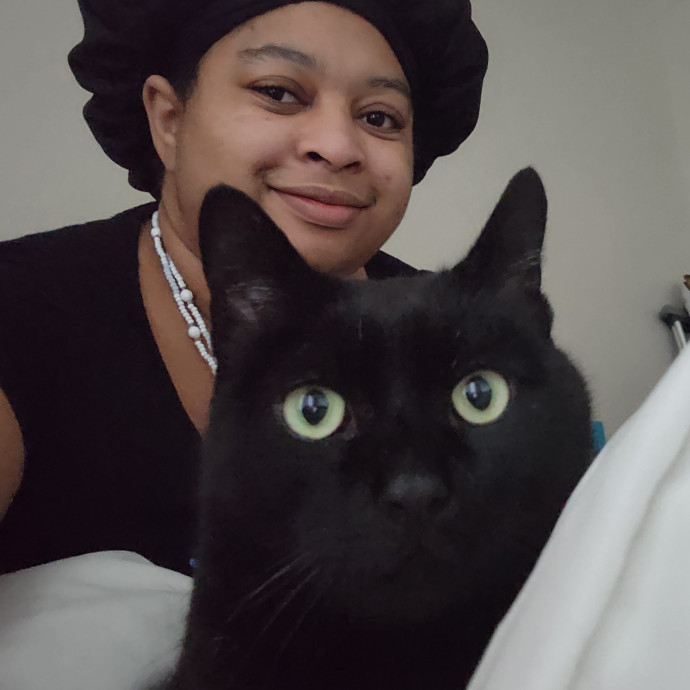 Jamil's Kitty Care Jamil's Kitty Care