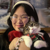 Lica's Cozy Cat Cove