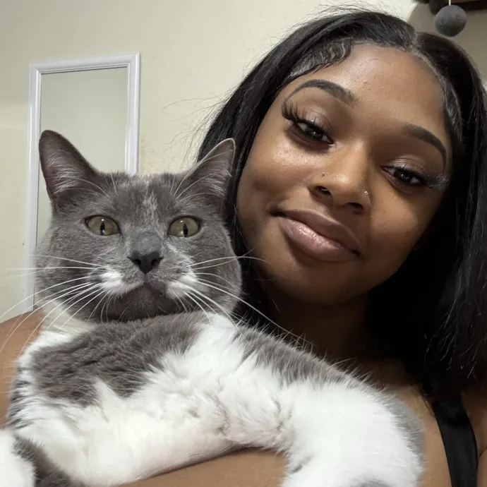 Gentle Reliable Cat Sitter