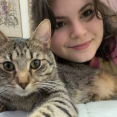 Meowdy Let Me Cat Sit For You