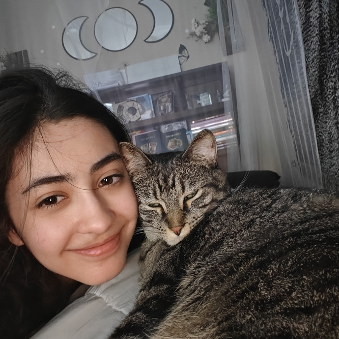 Experienced Cat Care  Meds Play  Love