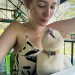 Reliable Cat Sitter