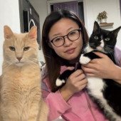 Calm Reliable Catloving Pet Sitter