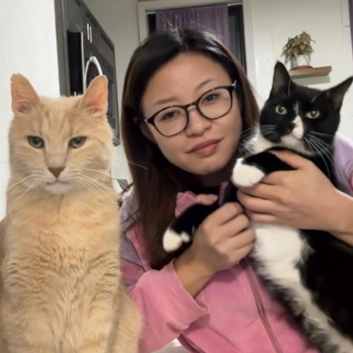 Calm Reliable Catloving Pet Sitter
