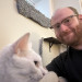 Friendly Experienced Cat Sitter-Dmv Area