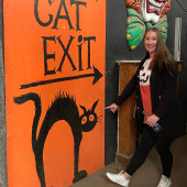 Hello Cat Parents