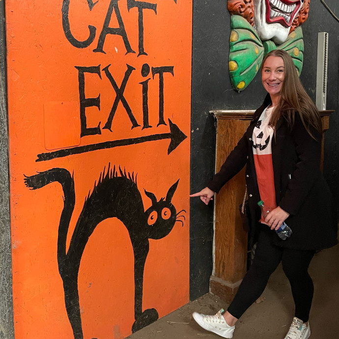 Hello Cat Parents Hello Cat Parents