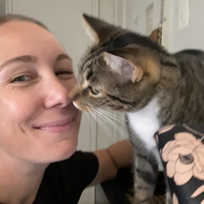 Hello Cat Parents Golden Paw Cat Care