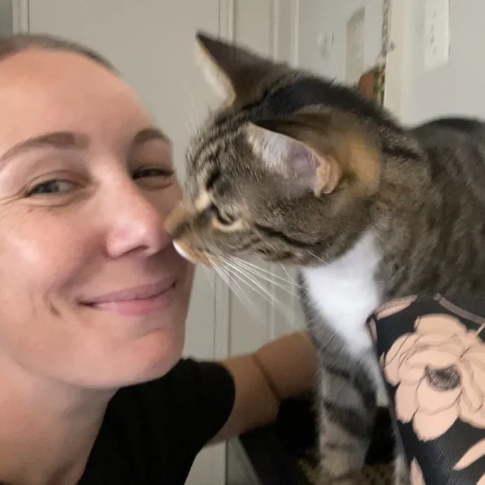 Hello Cat Parents Golden Paw Cat Care