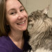 Hello Cat Parents Golden Paw Cat Care