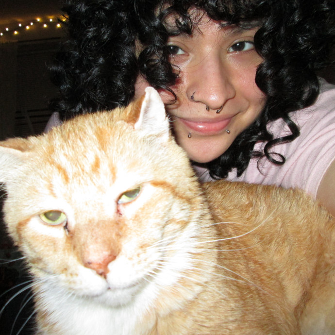 Cat Lover Seeking More Cats To Love