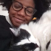 Cat Sitting In Park Slope