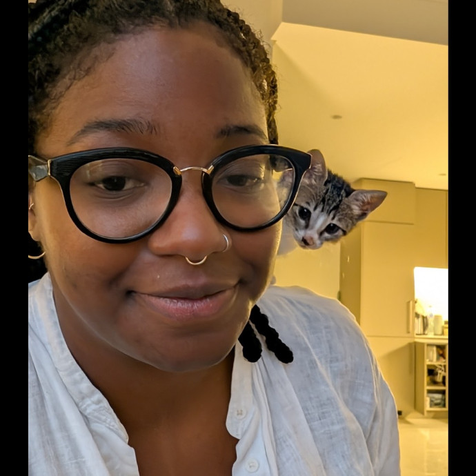 Cat Sitting In Brooklyn